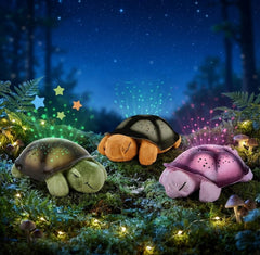 Turtle Night Sky Constellations LED Starry Night Light Projector