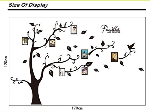 Black Tree With Photo Frames Vinyl Wall Sticker For Home Decor.